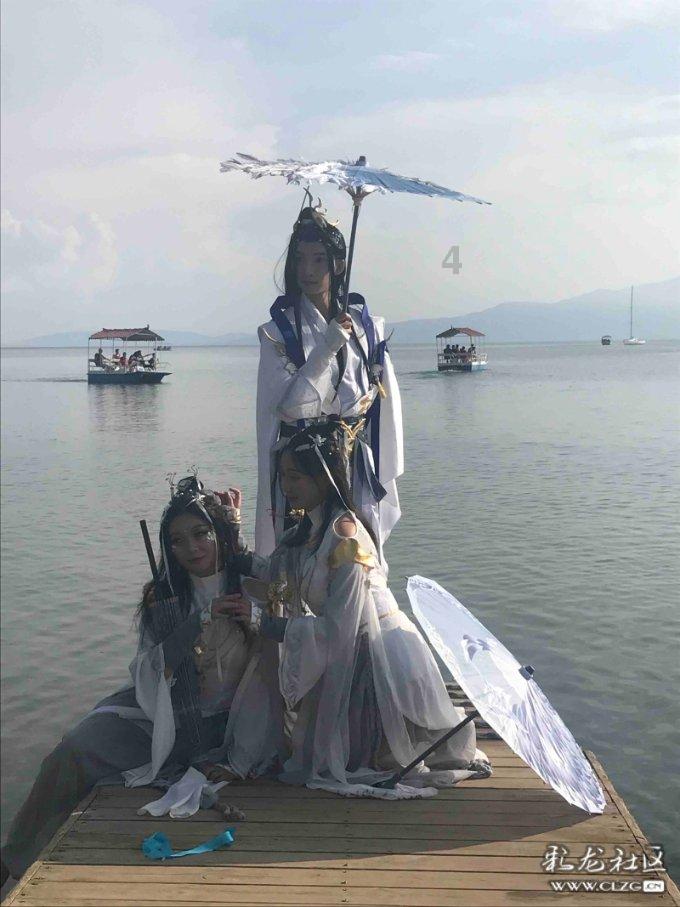 白莲花守则
