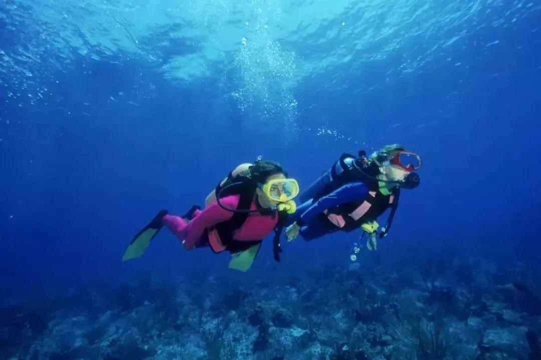燃烧吧大脑免广告最新版