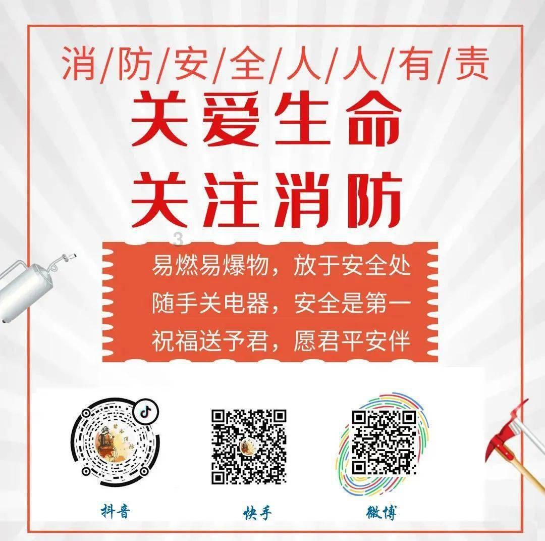 热带假日