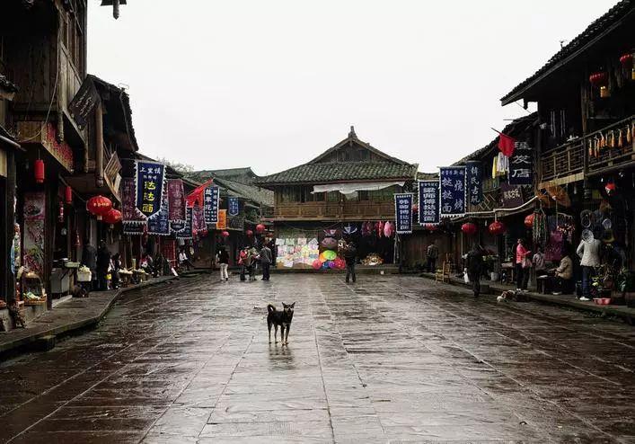 亿万僵尸